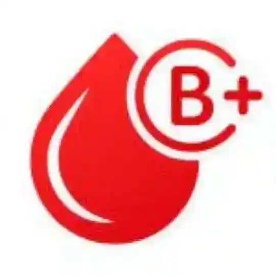 Blodbussen B Rh+ Profile