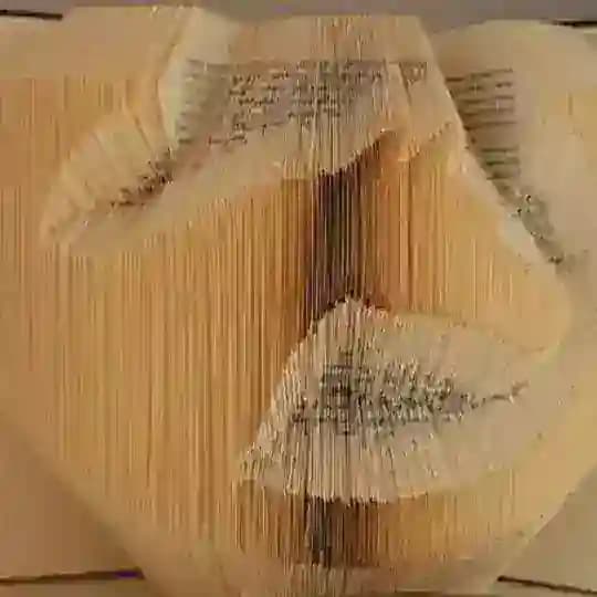 Buchkunstzauber Profile