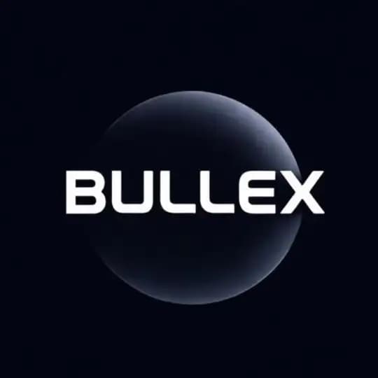 𝗕𝗨𝗟𝗟𝗘𝗫 Profile