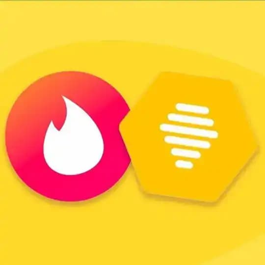 MM LUXY 大黄蜂 Profile