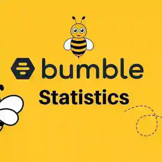 全球定制🔥（大黄蜂） Profile