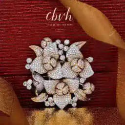 CBVH - ស៊ីប៊ីវីអេច Chat Profile