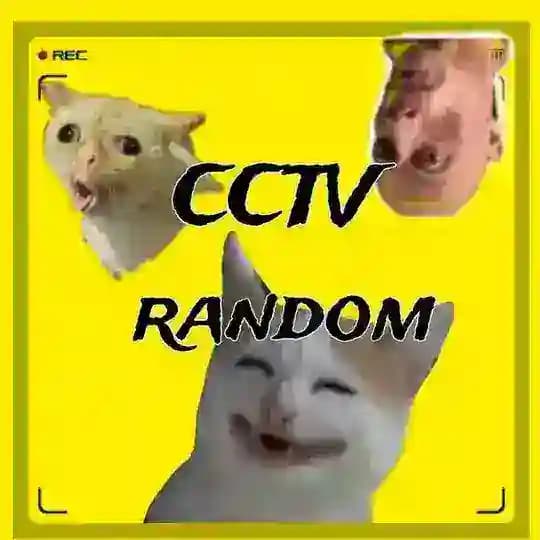 GRUP CCTV ͮ ͥ ͬ ⷶ ᷝ Profile