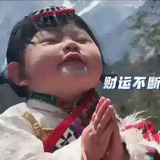 重庆修车总队（火锅） Profile