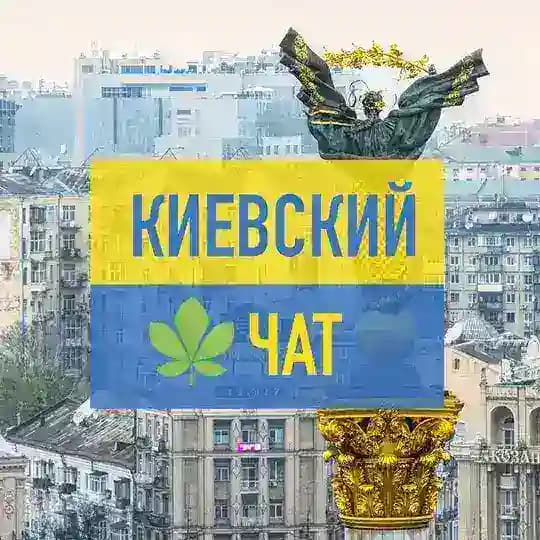 Київський чат Profile