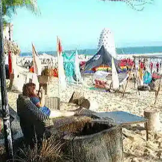 Chia sẻ rau và máy bay Profile