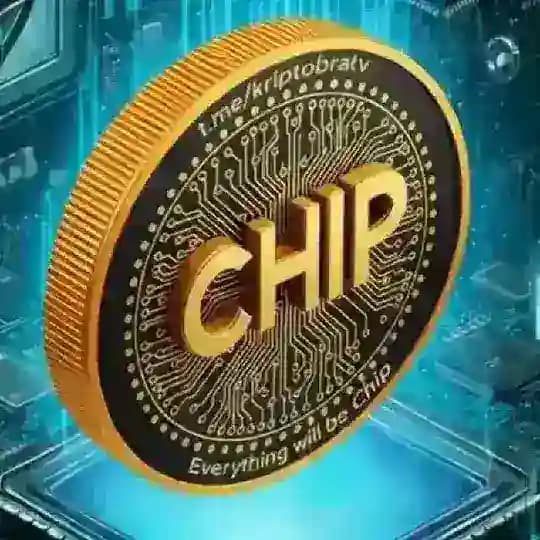 CHIP FOND Profile