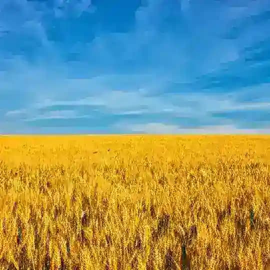 Кишинев. Аренда. Недвижимость Profile