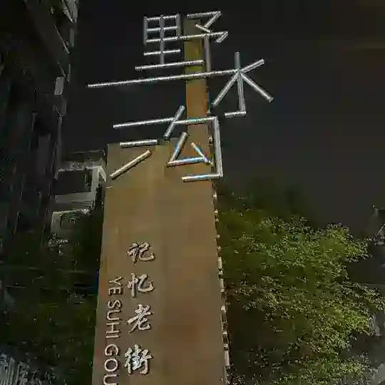 重庆野水沟(扫街群) Profile