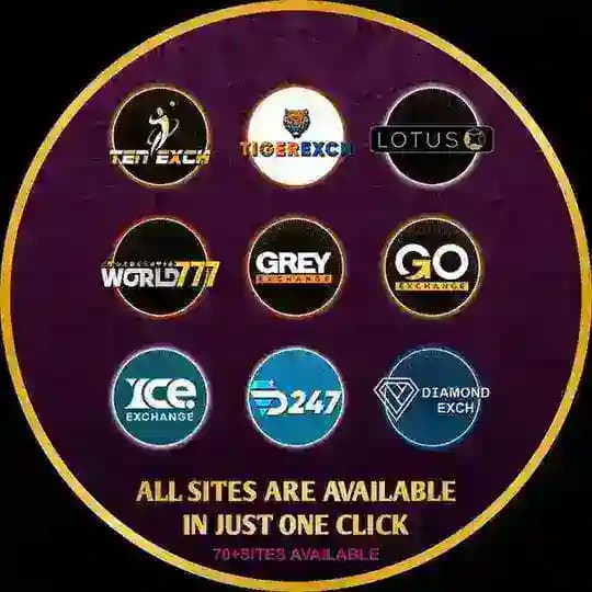 ALL IN ONE ONLINE BOOK Profile