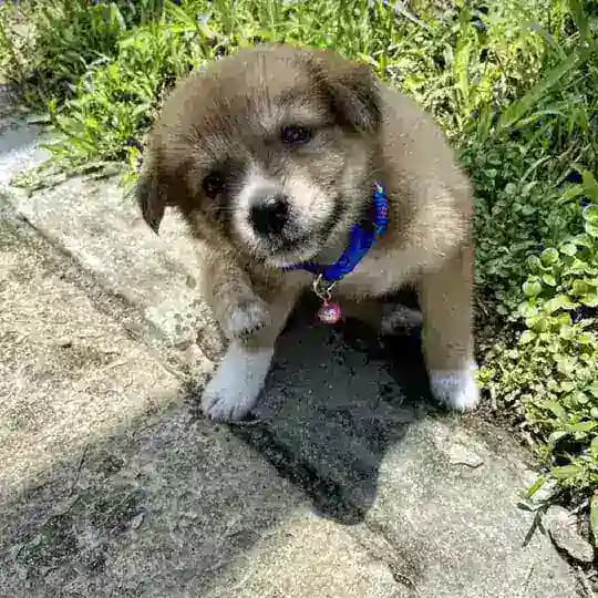 Việc làm online Profile