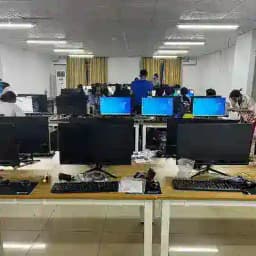 Working online ជ្រៃធំ Profile