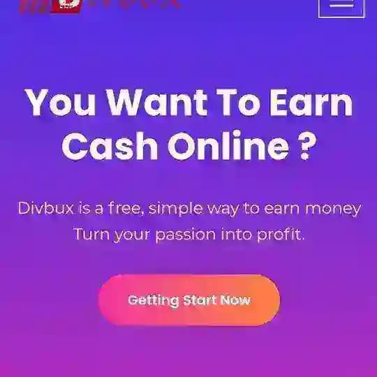 Divbux group Profile