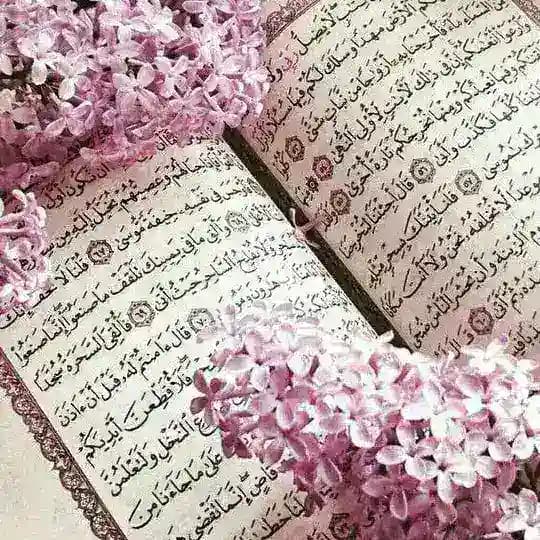 دعا وطلسمات سید Profile