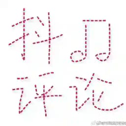 抖音评论信誉第一 Profile