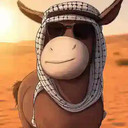 DONKEY_BSC_CTO Profile