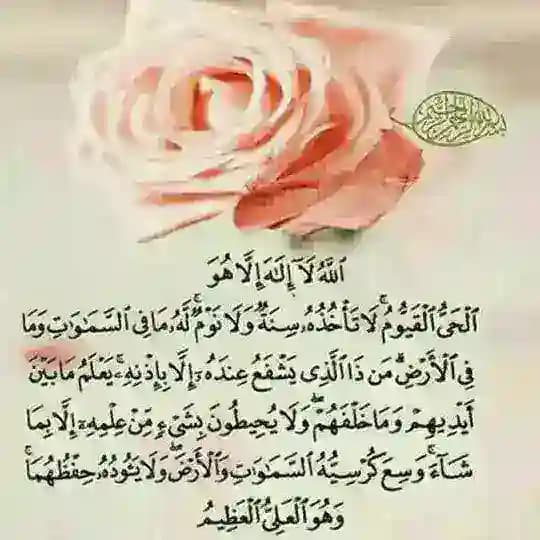 طلسم و دعا و حاجات Profile