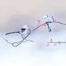 豆瓣讨论 Profile