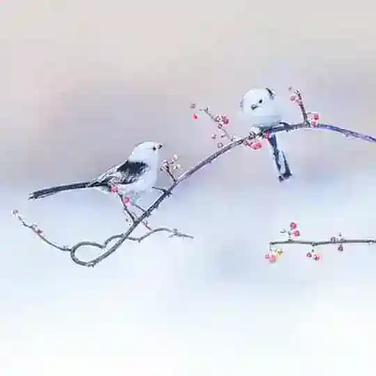 豆瓣讨论 Profile