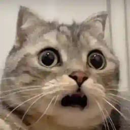 微信-QQ-抖音-快手等账号一手号商交流群 Profile