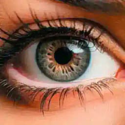 Ҽɳƚҽɾƚαιɳɱҽɳƚ'ʂ ✍📚 Profile