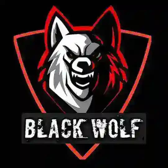 𝗕𝗟𝗔𝗖𝗞 𝗪𝗢𝗟𝗙 🖤 Profile