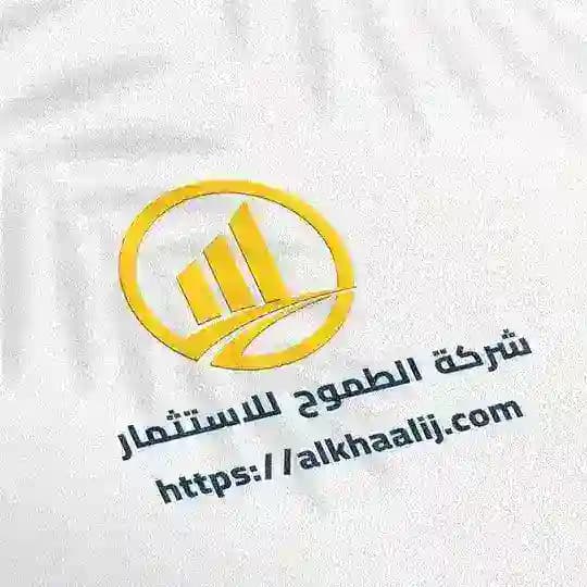 شـــركــــة الطموح https: //alkhaaIij-comللاستـــثمار Profile