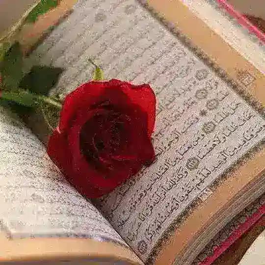 صیغه موقت و آسان Profile