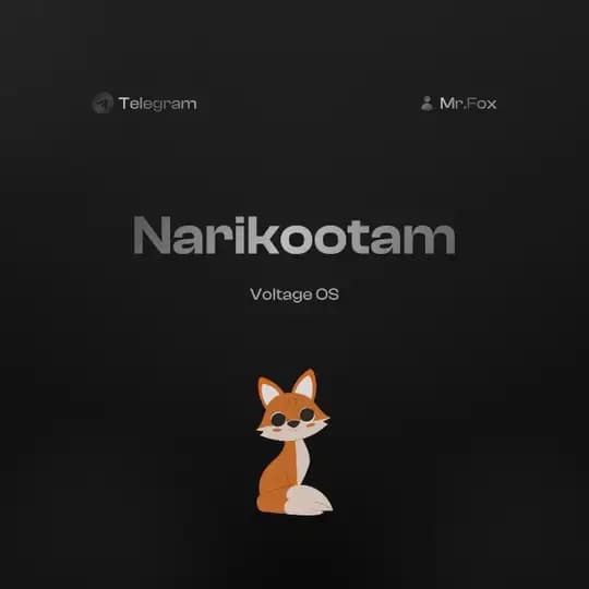N A R I K O O T A M | V O L T A G E O S Profile