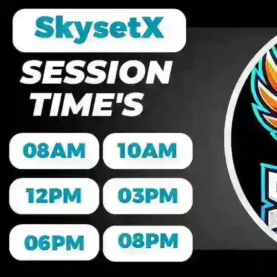 SkysetX Mall Profile