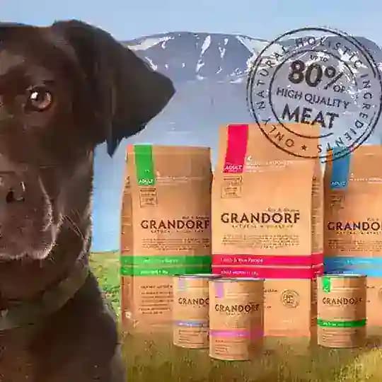 Апоквел | Бравекто | Грандорф: МАГАЗИН РФ! Profile