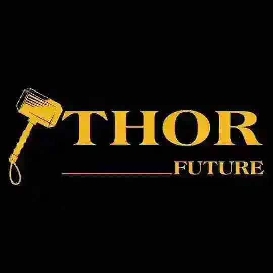 Thor Group Future Profile