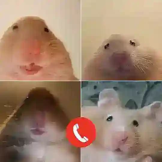 Happyhappy18888 Grup Diskusi Profile