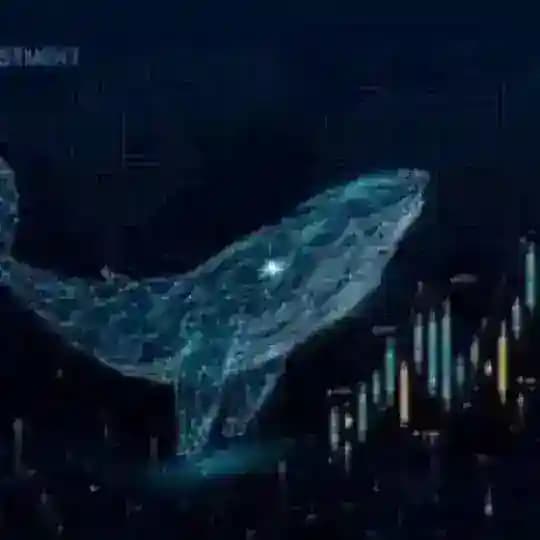 حيتان التداول ❤️‍🔥🐳 chat Profile