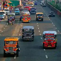 Hội Người Việt Tại Philipines Profile