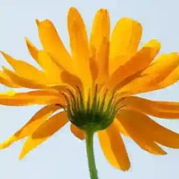 暢所欲言 Profile