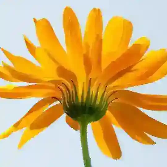 暢所欲言 Profile