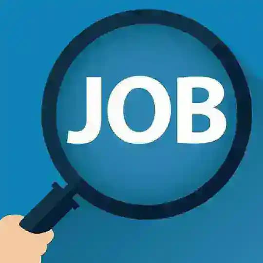 ការងារ / Job Profile