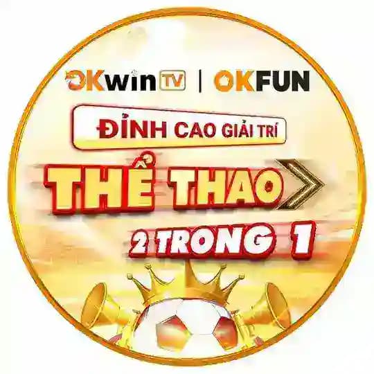 HOẠT ĐỘNG-KHUYẾN MÃI OKFUN Profile