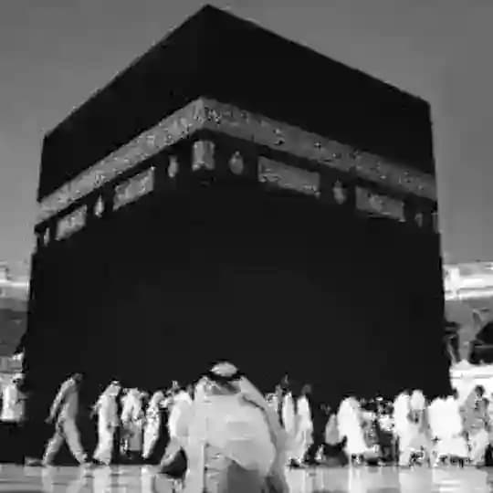 قروب اجر Profile