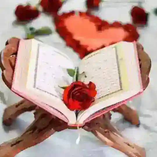 النکاح سنتی ازدواج موقت Profile