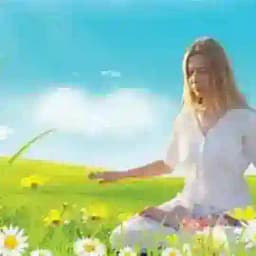 永恒的诗篇 Profile