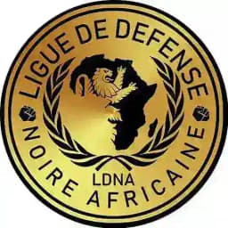 Ligue de défense noire Africaine Profile