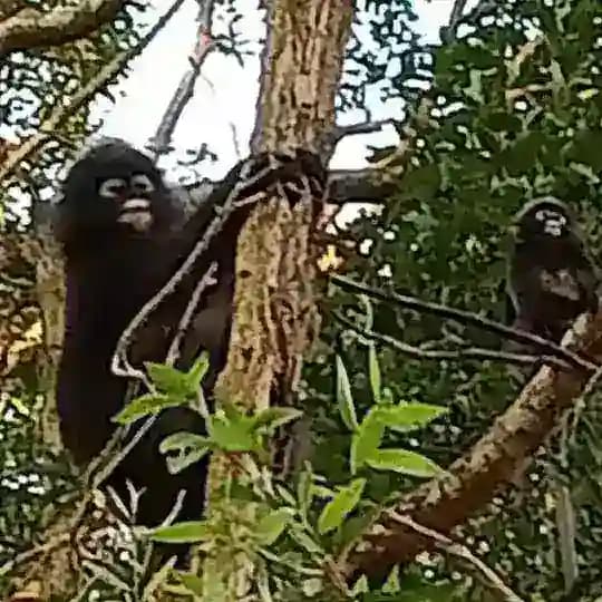 零贰交易群🐒 Profile