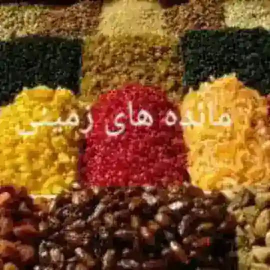 مائده های زمینی Profile