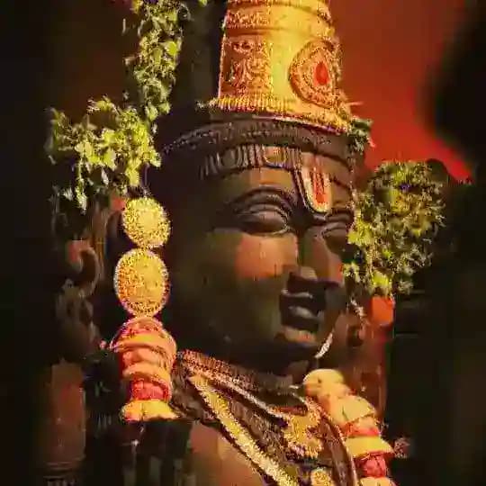 Malik Mumbai VIP Profile