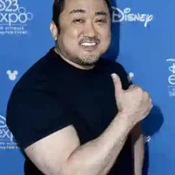 မာဒုံ​ဆော့, Ma Dong-seok Movies Collection Profile