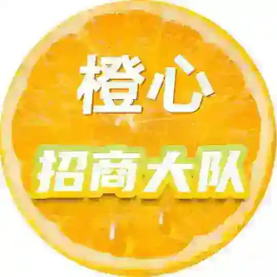 海外最牛招商聚集地 Profile