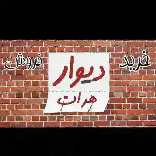 دیوار هرات Profile