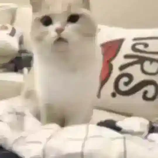 تبلیغات آزاد Profile